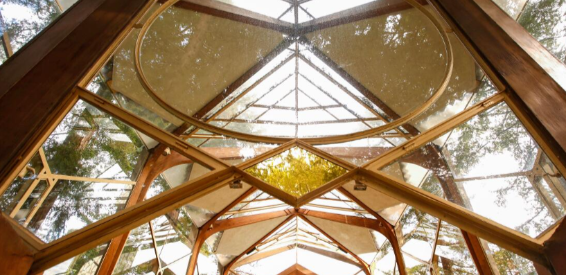 Explore the Latest Bridal Fashion Dresden for Elegant, Modern, and Timeless Styles